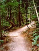 Bellingham Trail Guide