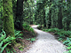 Whatcom County Parks